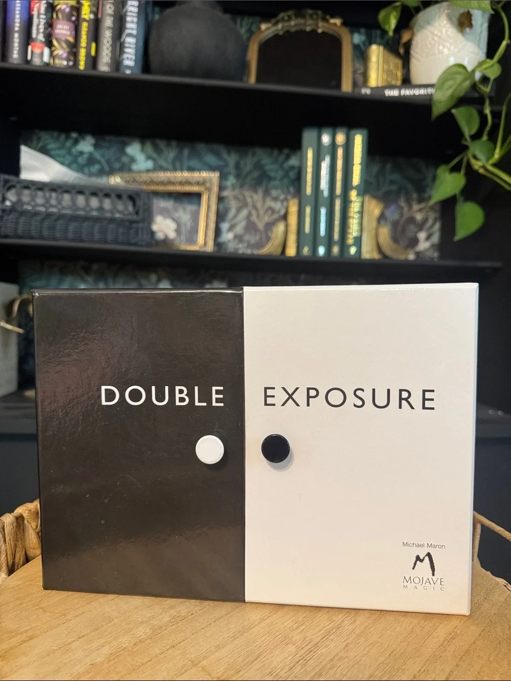 Double Exposure Black & White Eyeshadow Palette